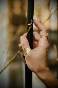 Power Drop Ring